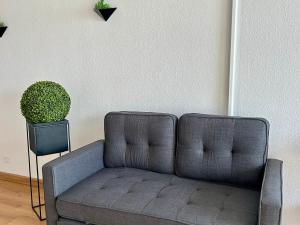 Studio confortable avec vue mer, animaux acceptés - FR-1-652-48