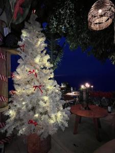 Siam Cookies Cottage