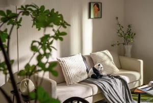 福助安可105sqm Teradacho 5mins JR Loop near Tenojii Shinsaibashi Namba USJ Direct