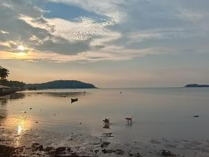 GS Home on the Bay - Super Sea view glass studio apartment