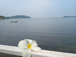 GS Home on the Bay - Super Sea view glass studio apartment