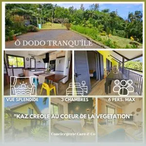 Ô Dodo Tranqu'Île - Rivière du Rempart