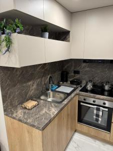 Ellis apartment D