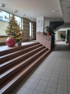 Apartament B & S - Free Garage Parking