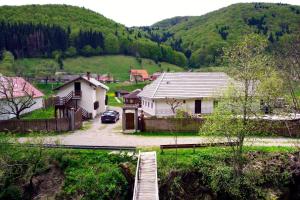 Gospodaria Lui Nea Ion