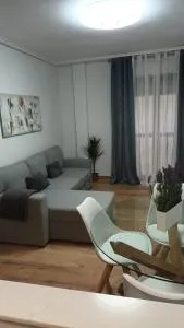 VINO y CAMINO II - 新阿森西奥