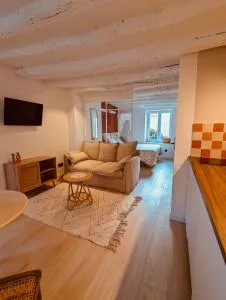 Studio des glycines - 帕莱索