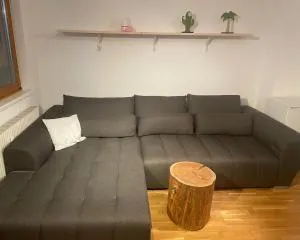 Traunsee Apartment 60 m2 - Gschwandt