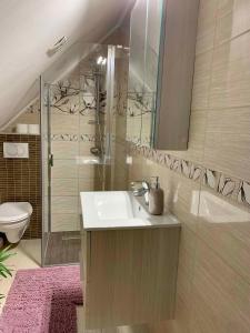 Apartments in Siofok - Balaton 51876