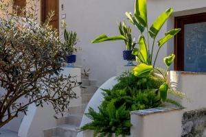 Casa Tua - Countryhouse-