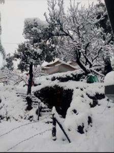 Cozy Hills Resort