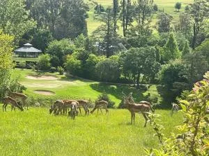 Precious, Peaceful 3bedroom, 6 sleeper family home! - 昆斯敦