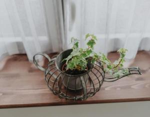 Casa Rural La Medica