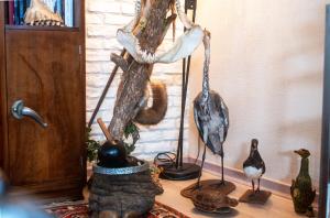 Loft atypique avec bowling pour 12 voyageurs, cabinet des curiosités