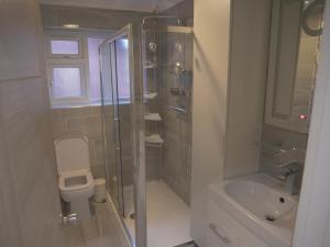 Modern house in greater London