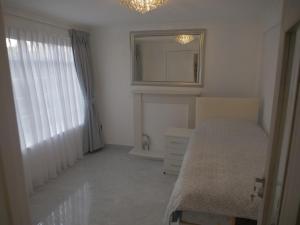 Modern house in greater London