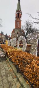 Beachfront apartment Sopot