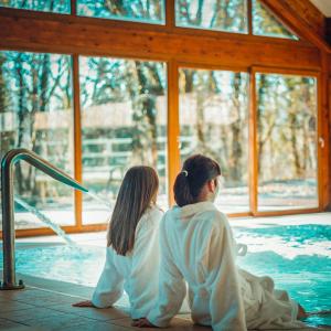 Hotels Le Bois Dormant-Hotel Restaurant & Spa Logis Hotel : photos des chambres