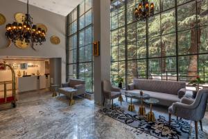 MastiffMandavya Dharamkot, McLeodganj