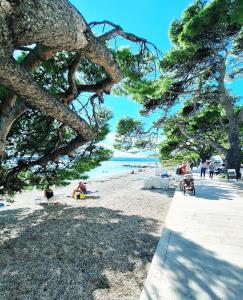 Beachview Apartments Podstrana