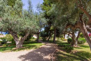 The Sun - pool and relax