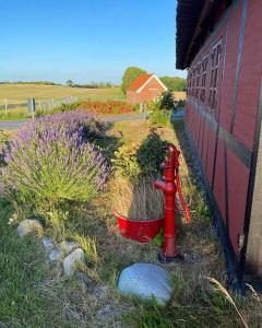 Charming Cottage In The Best Hc Andersen Style