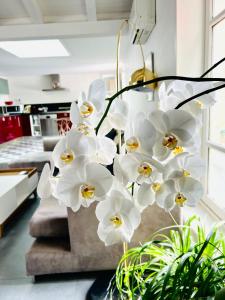 Appartement le Pas Sage du Marché La Flotte