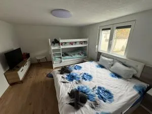 Villa Adushi - Opterushë Villa Adushi - Opterushë