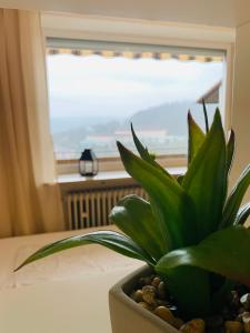 Apartment Panoramablick