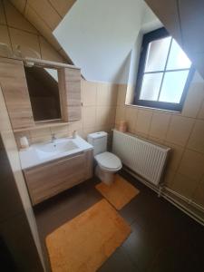 Casa cu Steag