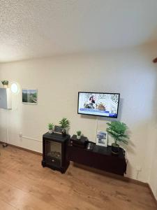 Les 2 Alpes - PIED DES PISTES - PLEIN CENTRE DE LA STATION au calme