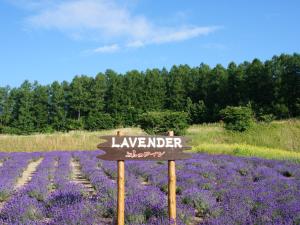 Furano - Hotel Vacation STAY 35781