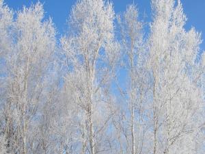 Furano - Hotel Vacation STAY 35850