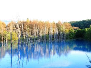 Furano - Hotel Vacation STAY 35850