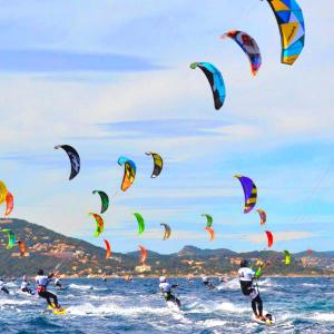 Appartements La Petite Boulonnaise Studio cosy avec cour privative - proche Nausicaa : photos des chambres