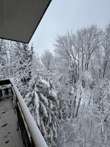 Nido Alpino Pulicchio