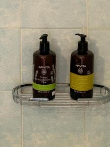 Oikia Apozari MIKROS FILIPPOS