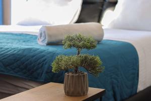 Stylish Studio Apartment with balcony