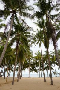 W Sichon Beachfront Homestay