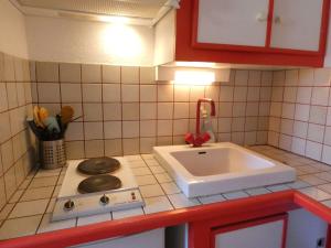 Charmant studio à 1er étage, 4 pers., balcon, salle fitness, park, ski, jacuzzi - St Lary Soulan - FR-1-457-252