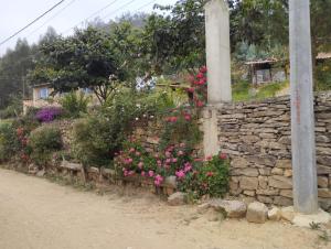 Glamping Colina Campestre Domo