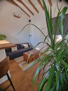 Un appartement charmant à deux pas de Paris ! - Le Pré-Saint-Gervais
