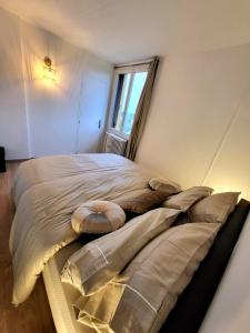 Bel appartement Lagny sur Marne