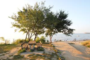 FeWo mit Meerblick, gratis Nutzung vom AHOI Erlebnisbad und Sauna in Sellin - Haus Blick zur See FeWo 06