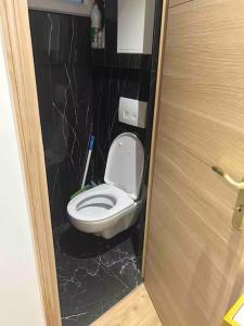 Cozy Appartment in Voltaire