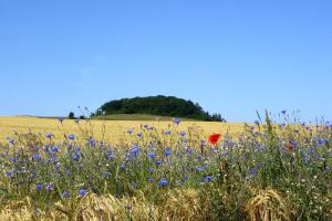 nur 100 m zum Strand, FeWo mit Balkon und Terrasse - App Eldena FeWo 19