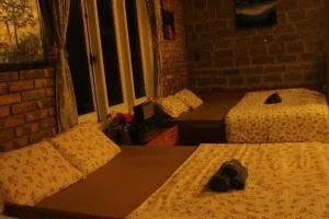 House in the forest - Ấp Ðinh An (1)