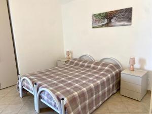 Gli ulivi della Monda