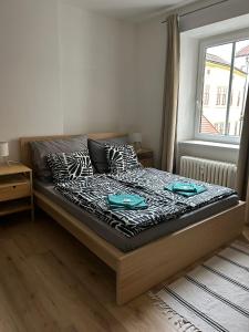 City Center Apartments - Moderna Brno Římské náměstí III