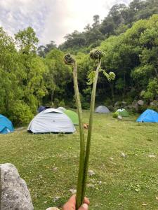 Kareri Kommune- The Last House